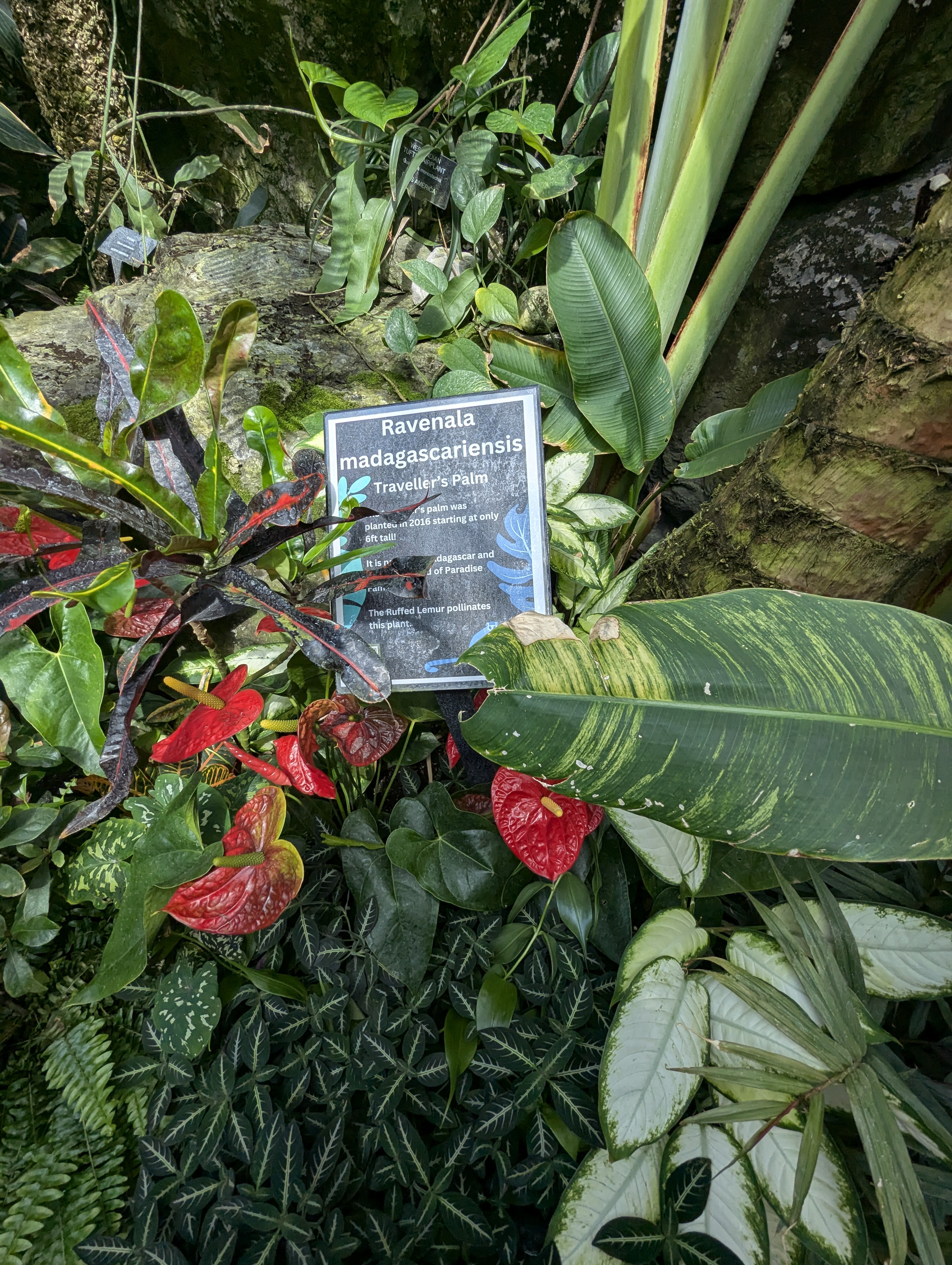 Birthday Trip to Canada, Edmonton, Pyramids, Muttart Observatory